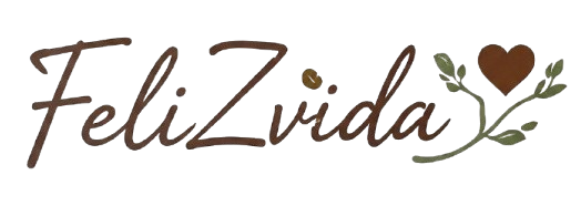 Logo FeliZvida